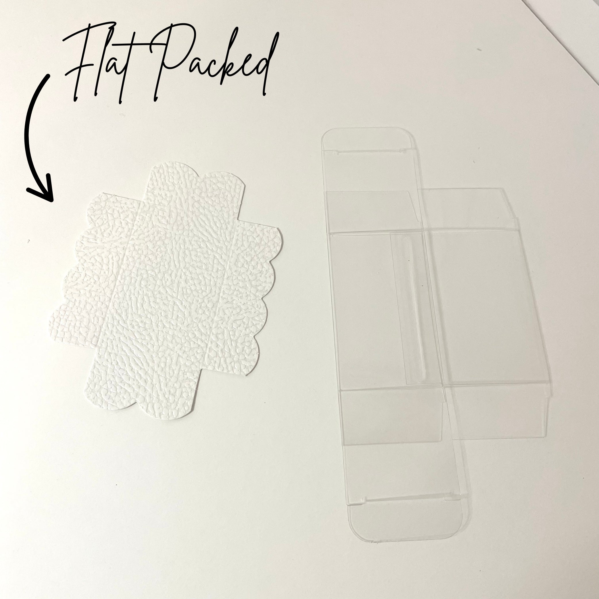 Transparent Macaron Box With White Insert -Pack of 10