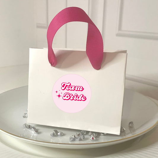 ‘Team Bride’ Bridal Shower Favour Gift Bags - 2 sizes (Pack of 6)