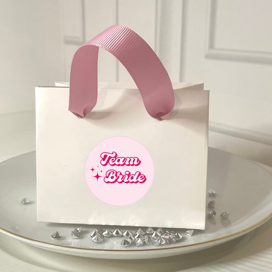 ‘Team Bride’ Bridal Shower Favour Gift Bags - 2 sizes (Pack of 6)