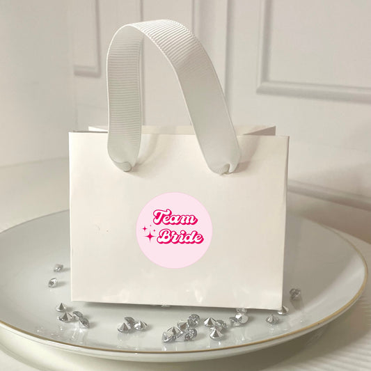 ‘Team Bride’ Bridal Shower Favour Gift Bags - 2 sizes (Pack of 6)