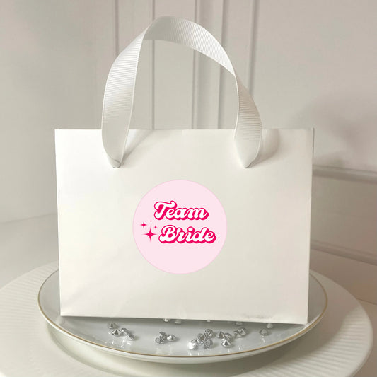 ‘Team Bride’ Bridal Shower Favour Gift Bags - 2 sizes (Pack of 6)